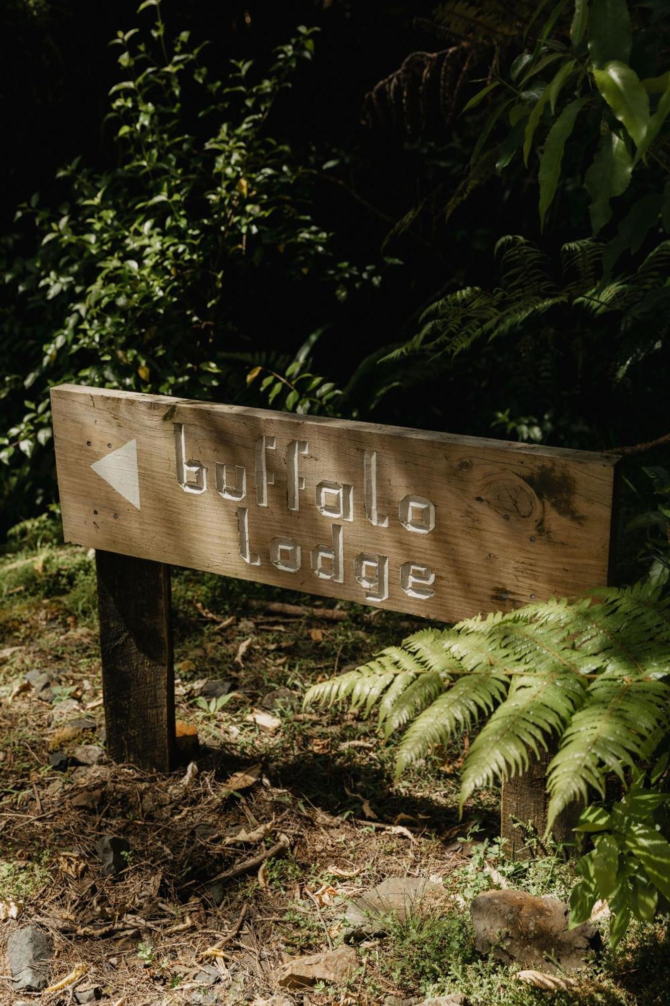 Buffalo Lodge Coromandel Екстер'єр фото